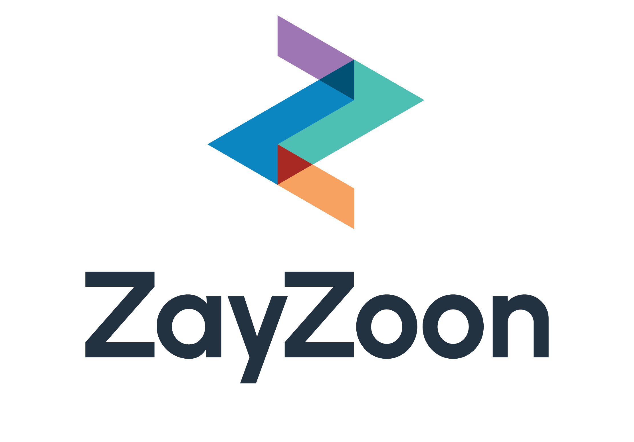 ZayZoon logo